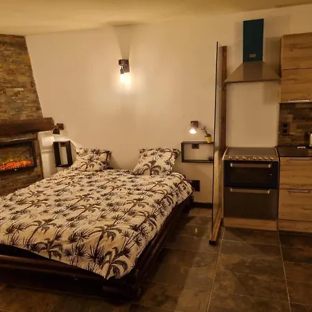 Vue Mer, Petite Piscine, Climatisation,Spa Exterieur,Parking Tout Prives דירה